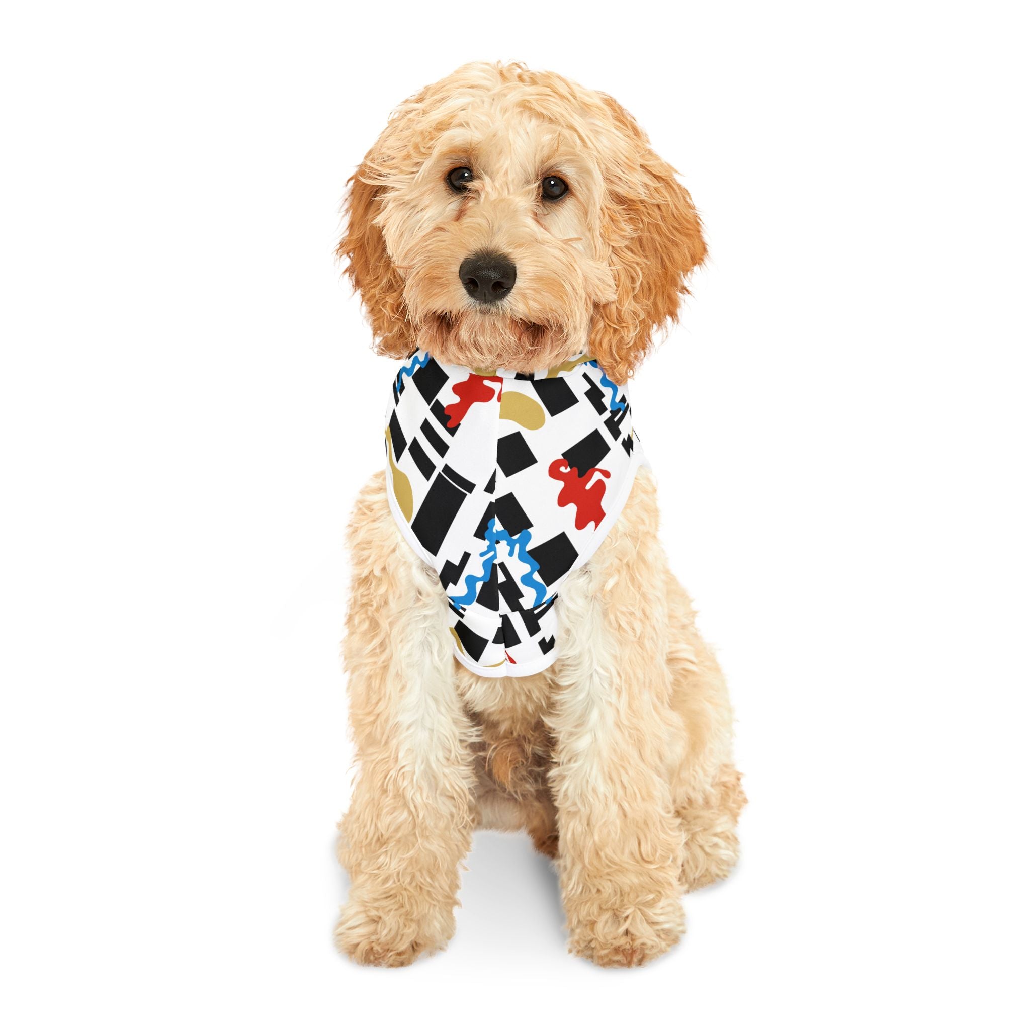 The Play Edit: Pet Hoodie